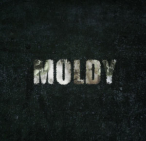 Moldy The Movie – The New Bulletproof Documentary